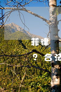 菲律賓續(xù)簽費用全解析：多少錢一次？合法嗎？